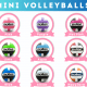 Grid of mini Molten volleyballs with color labels: Pink, Purple, Hot Pink; Lime, Aqua, Red; Blue, Silver, Navy/Olive, under a 'MINI VOLLEYBALLS' header.